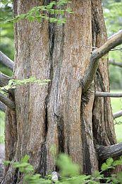 亚马逊要收购EA？CNBC：没有这回事